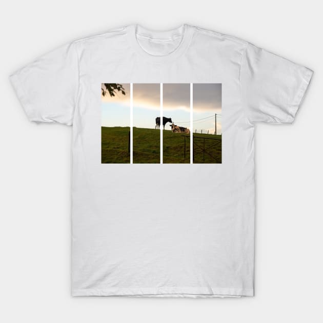 Two cows on the hill at sunset after a shower. Backlight. T-Shirt by fabbroni-art